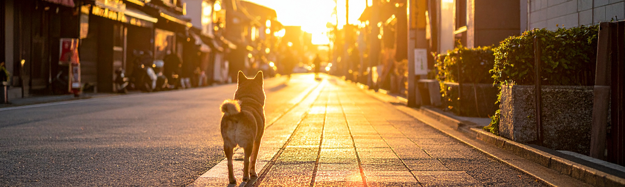 街中スナップ講座