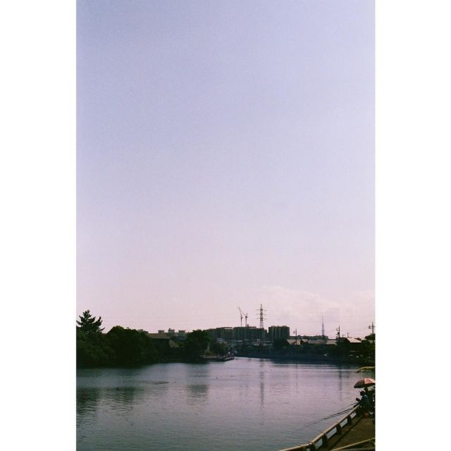 地元の公園の土手から見えるこの景色が大好きです。
#photographer #photography  #studio8x10 #スタジオエイトバイテン #filmphotography #NIKON #FM2 #pro400h #filmcamera #tam